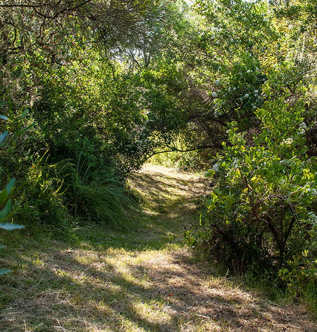 El Abra Flora & Fauna 18
